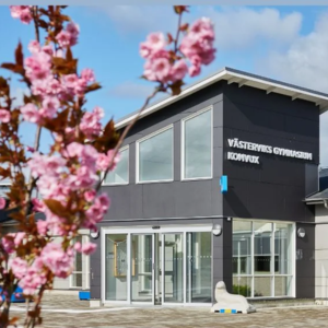 vvik gymnasium