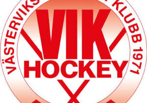 vik_logo